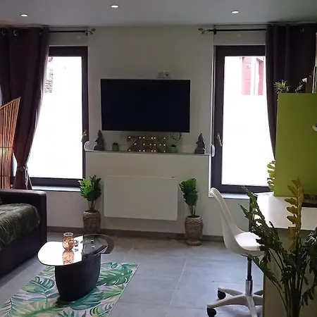 Gite Azalee Raon-lʼÉtape Exterior foto